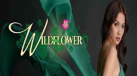 cast in wildflower|Wildflower (TV Series 2017–2018) .